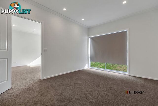 24 North Street ECHUCA VIC 3564