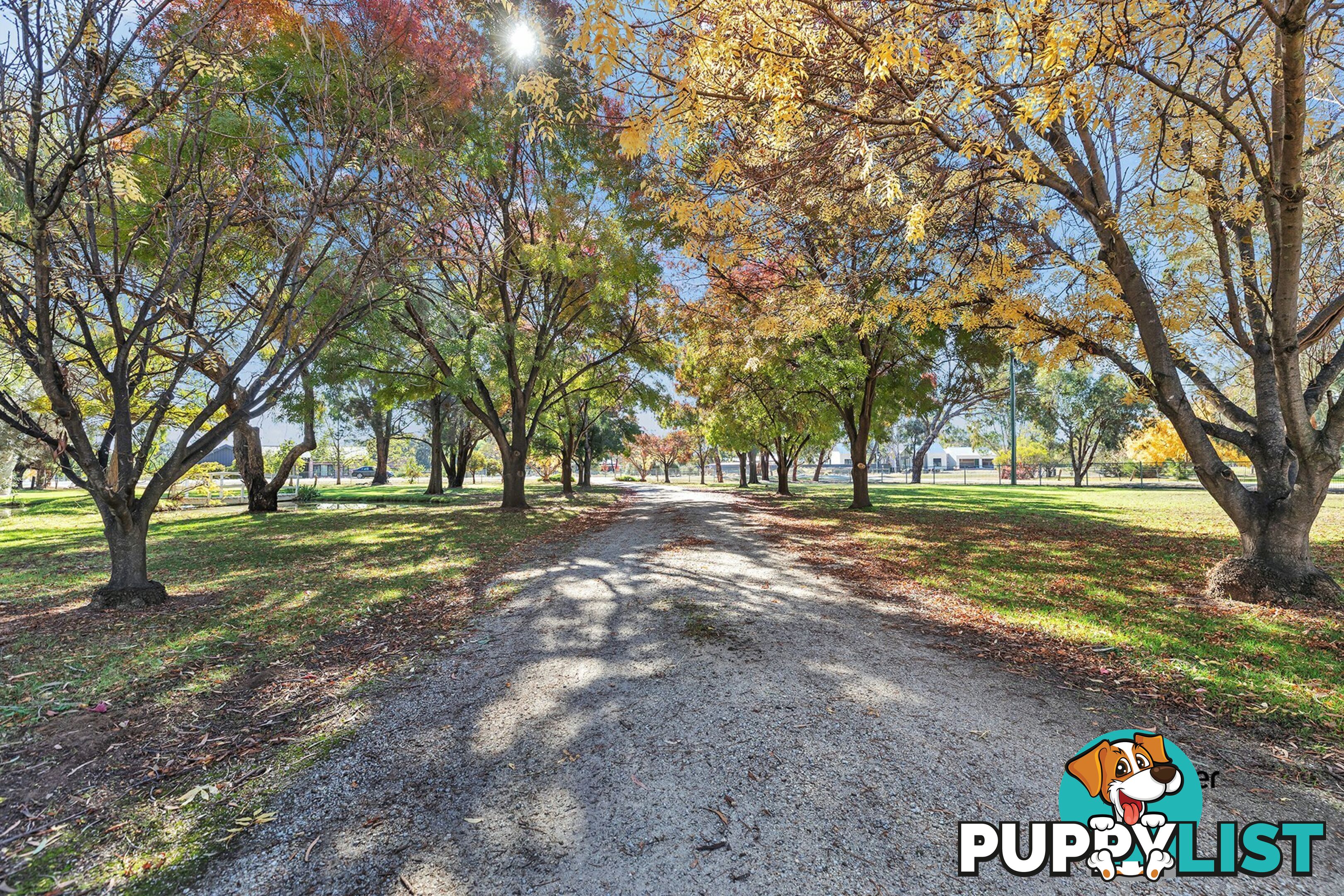 5 Maidensmith Drive MOAMA NSW 2731