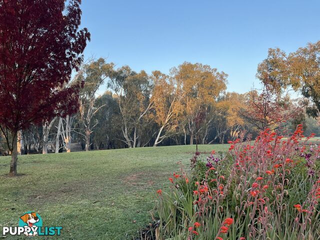 5 Maidensmith Drive MOAMA NSW 2731