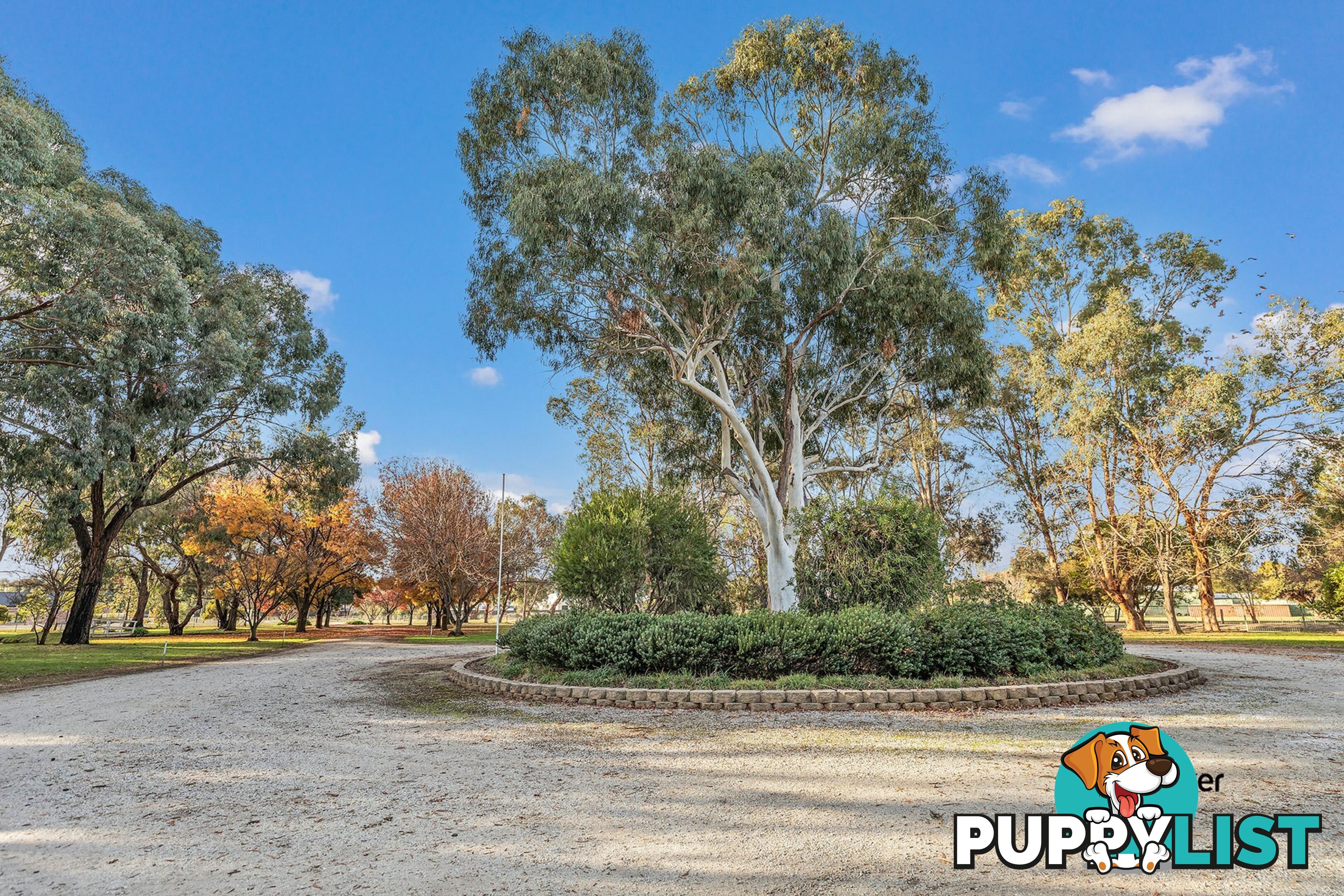 5 Maidensmith Drive MOAMA NSW 2731