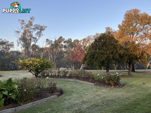 5 Maidensmith Drive MOAMA NSW 2731