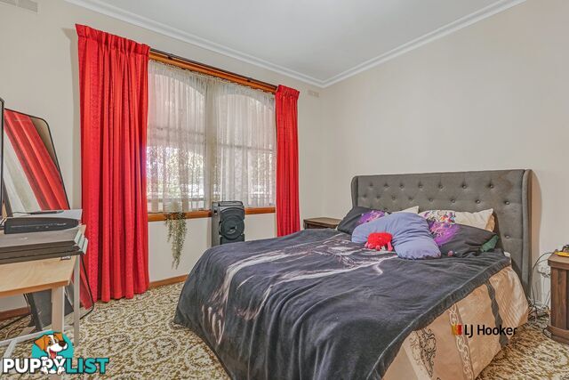 42 Echuca Road ROCHESTER VIC 3561