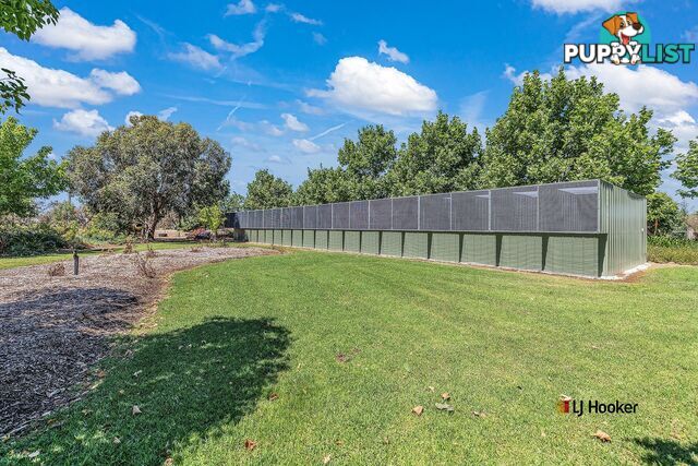 3498 Murray Valley Highway Patho ECHUCA VIC 3564