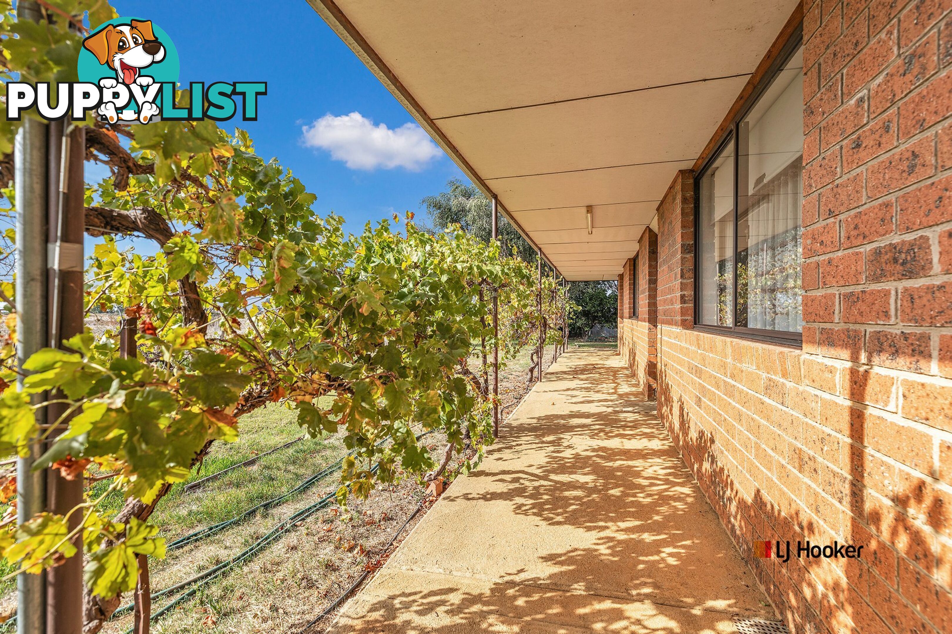 399 Echuca West School Road ECHUCA VIC 3564