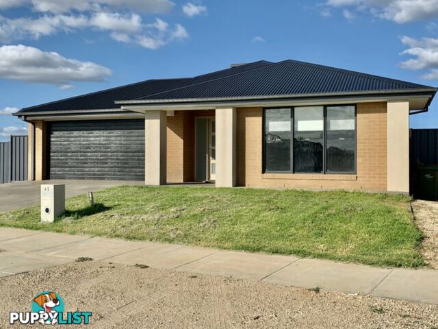 40 Grevillea Street ECHUCA VIC 3564