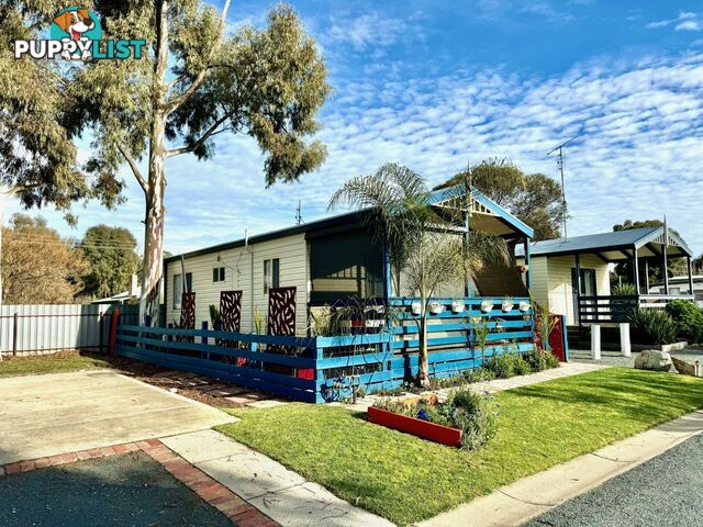 Cabin 15 25-51 Crescent Street ECHUCA VIC 3564