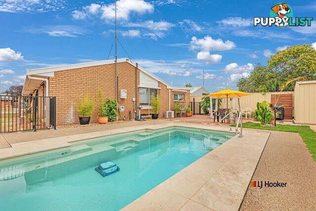 20 Elizabeth Street ECHUCA VIC 3564