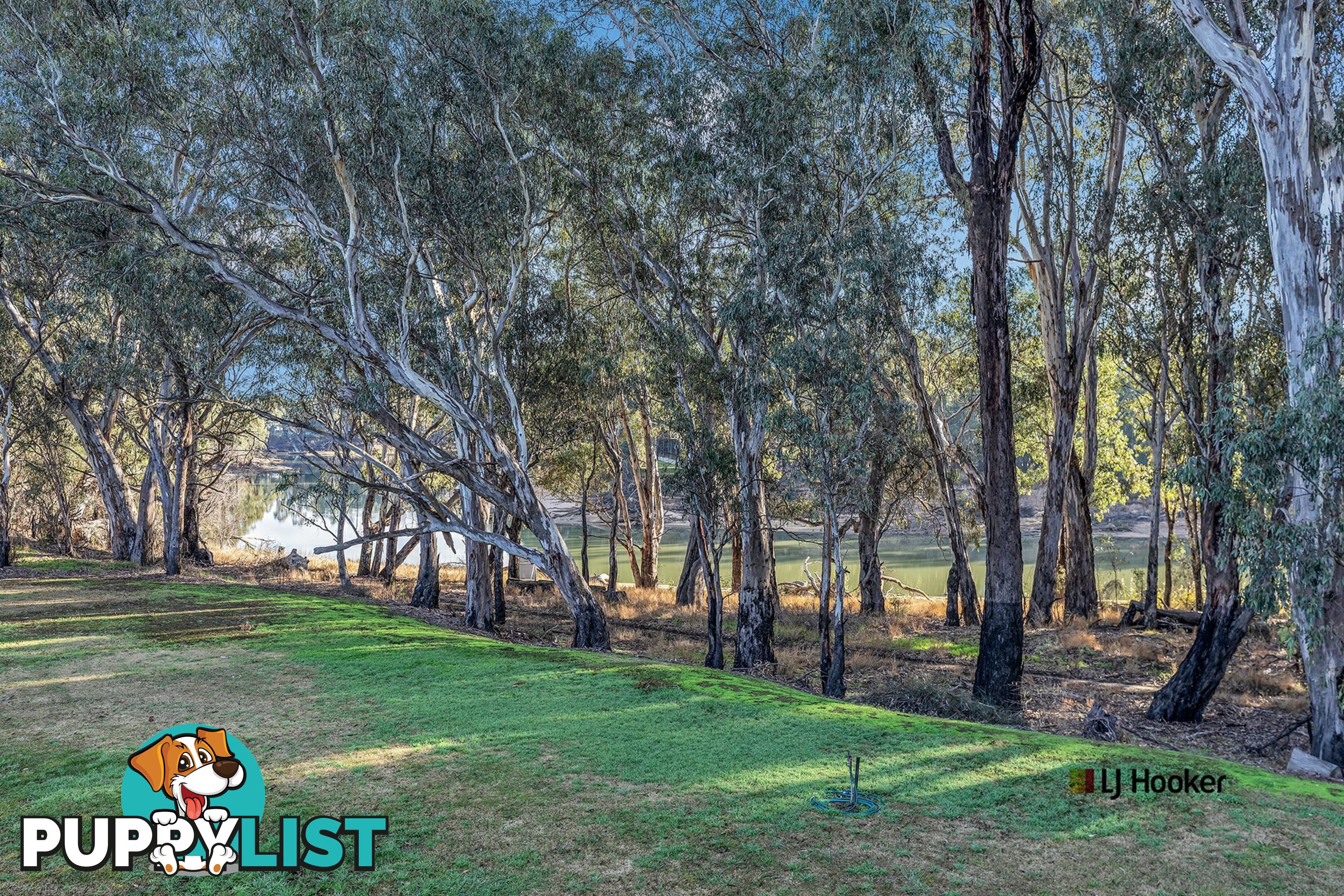 3 Lady Augusta Road ECHUCA VILLAGE VIC 3564