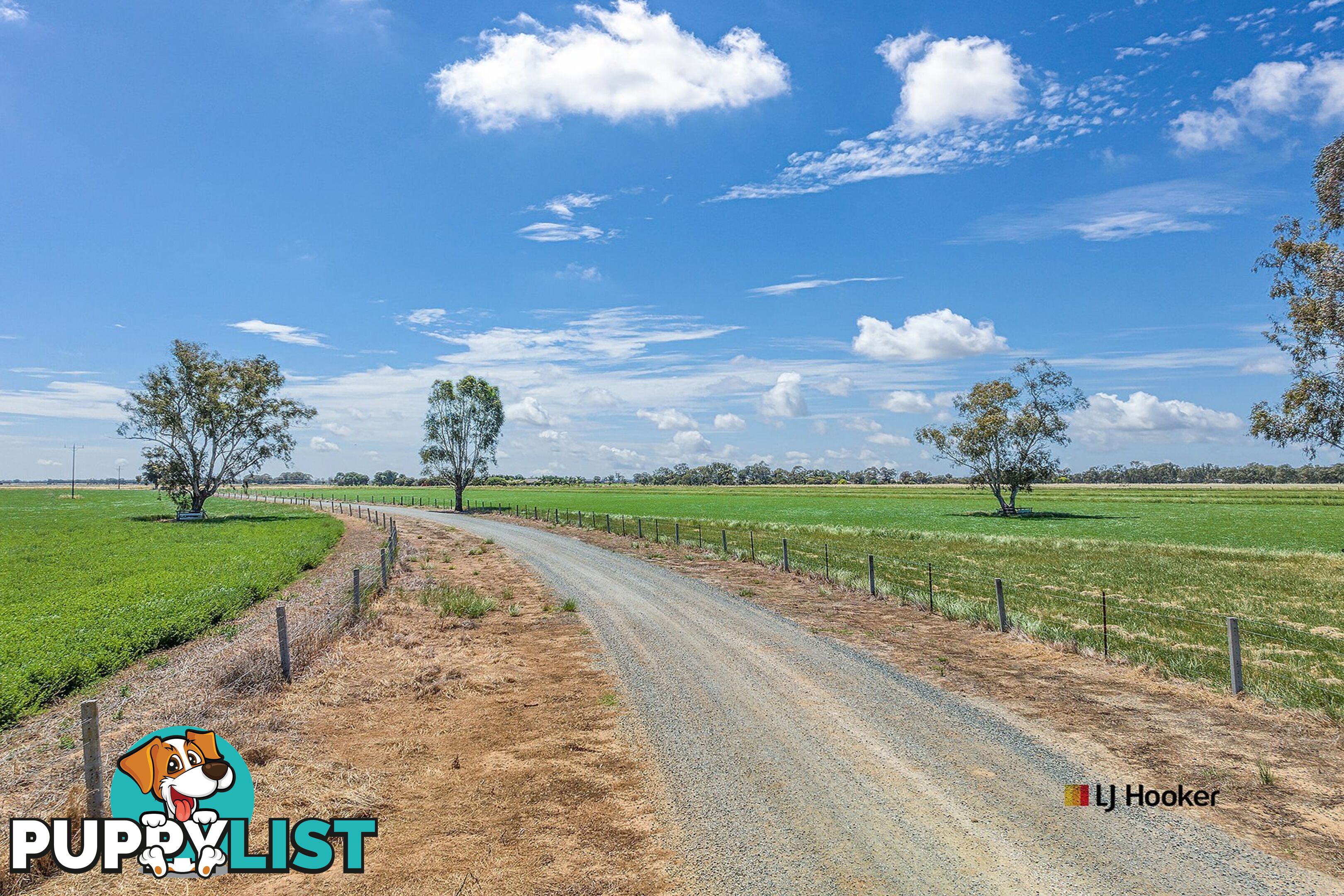 459 Echuca West School Road ECHUCA VIC 3564