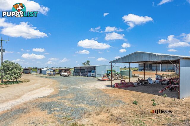 459 Echuca West School Road ECHUCA VIC 3564