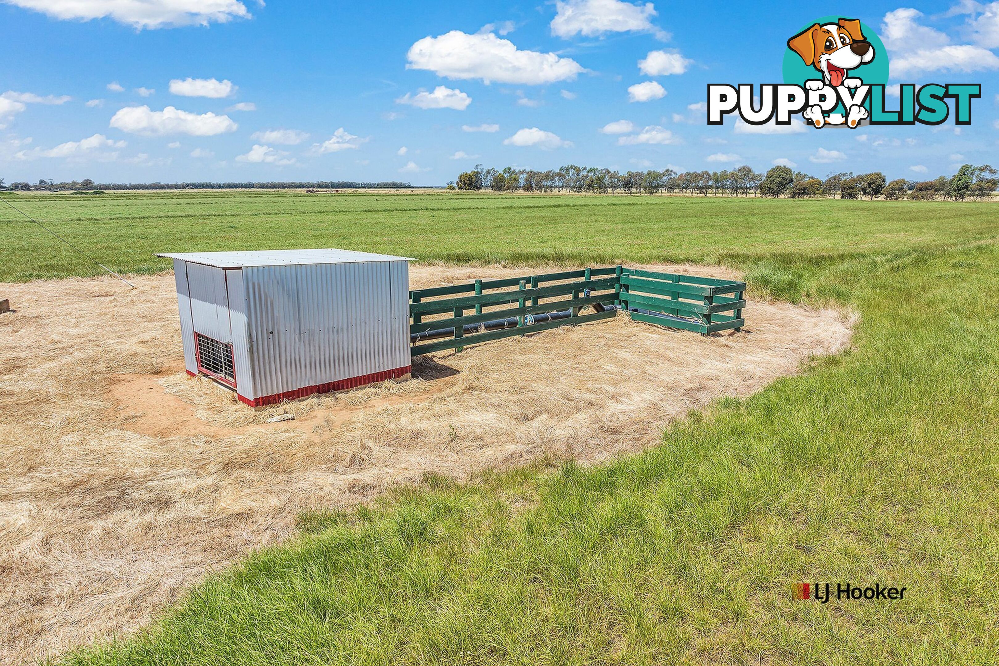 459 Echuca West School Road ECHUCA VIC 3564