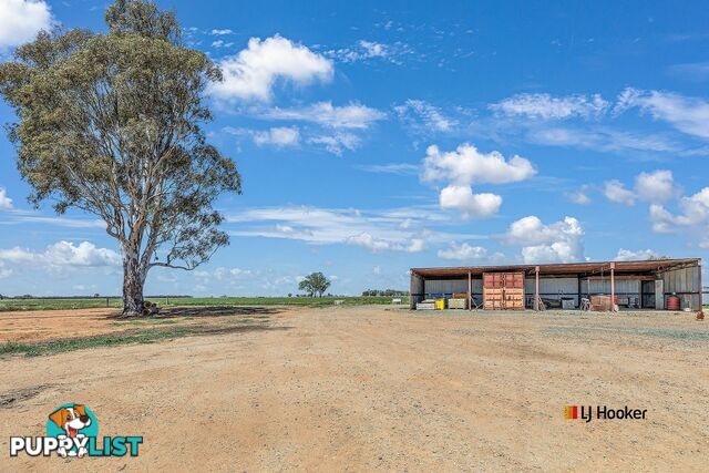 459 Echuca West School Road ECHUCA VIC 3564