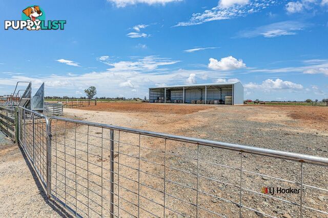 459 Echuca West School Road ECHUCA VIC 3564