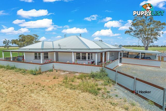 459 Echuca West School Road ECHUCA VIC 3564