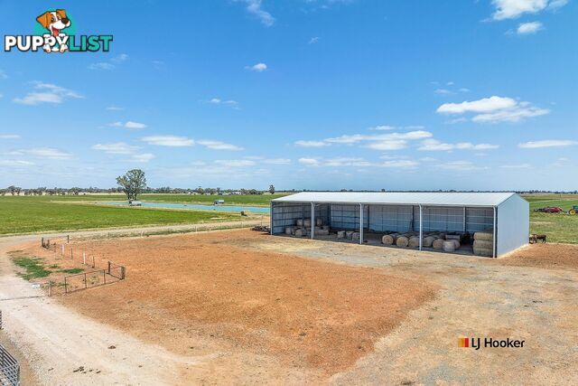 459 Echuca West School Road ECHUCA VIC 3564