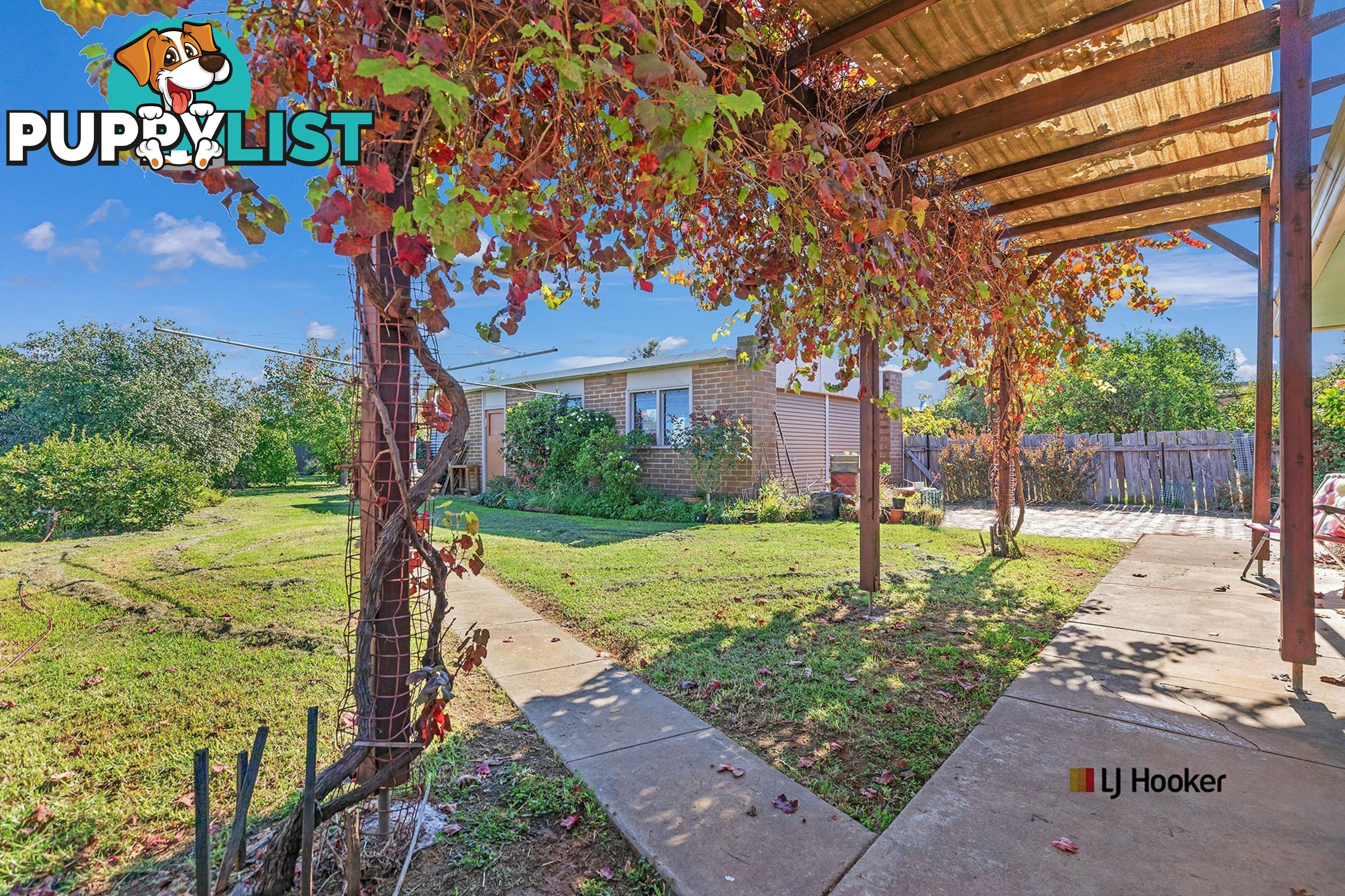 33 Premier Street ECHUCA VIC 3564
