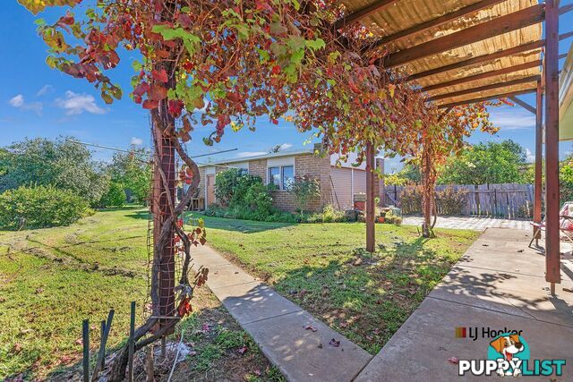 33 Premier Street ECHUCA VIC 3564