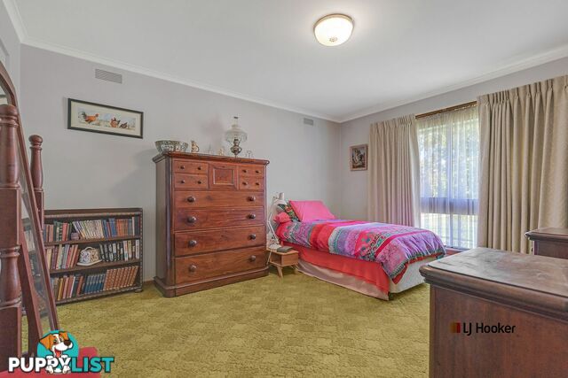 33 Premier Street ECHUCA VIC 3564