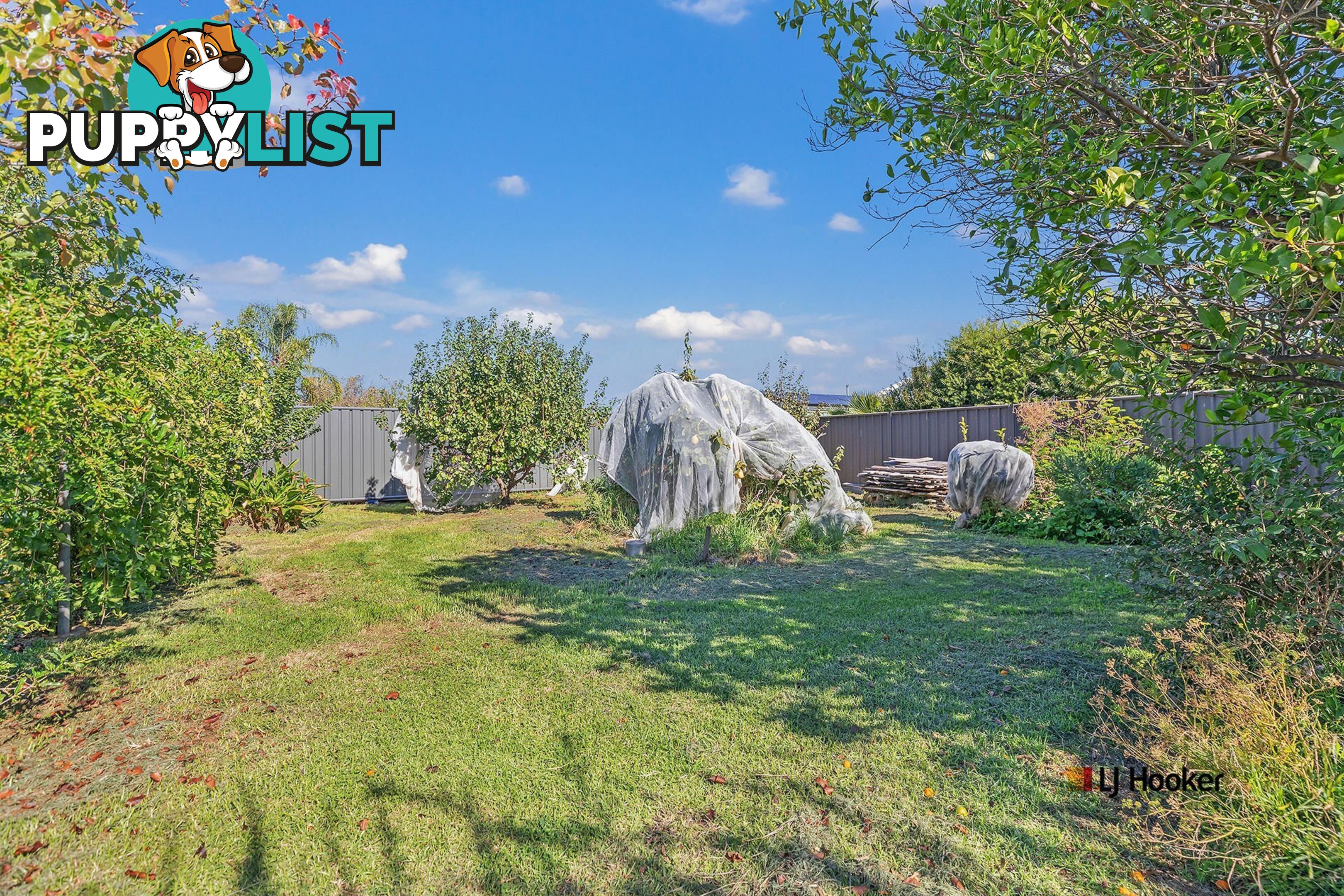 33 Premier Street ECHUCA VIC 3564