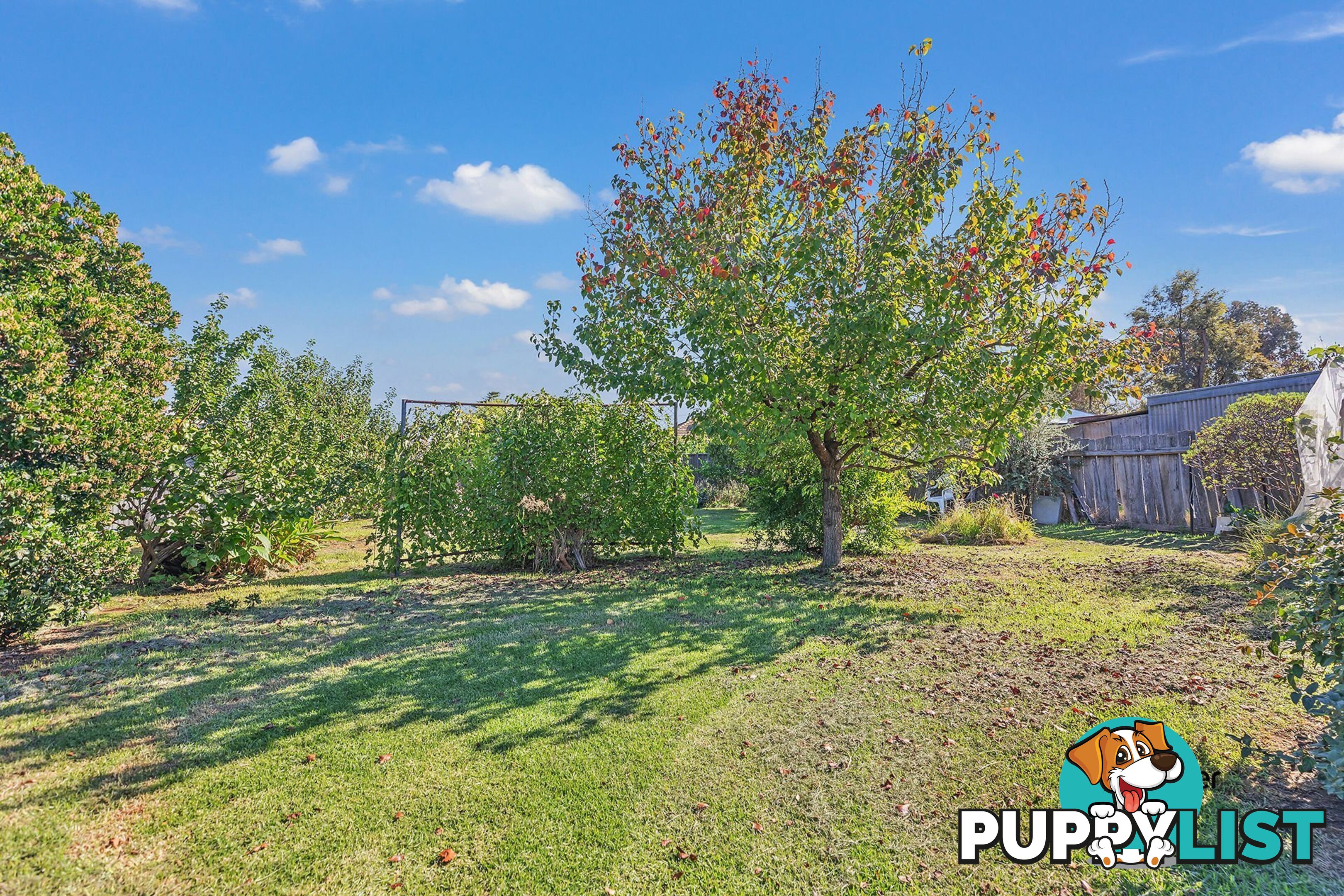 33 Premier Street ECHUCA VIC 3564