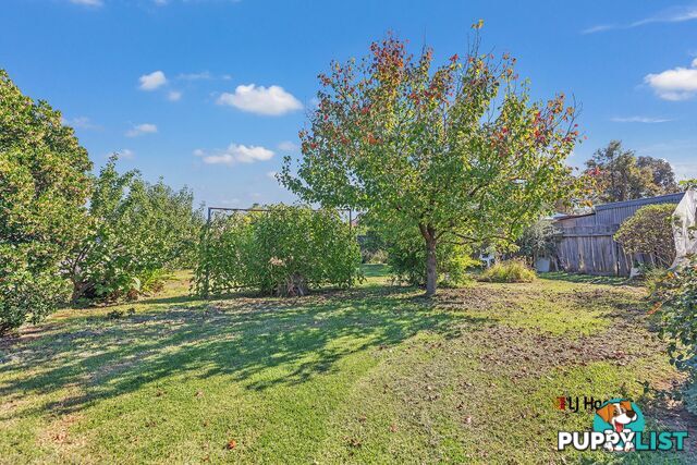 33 Premier Street ECHUCA VIC 3564