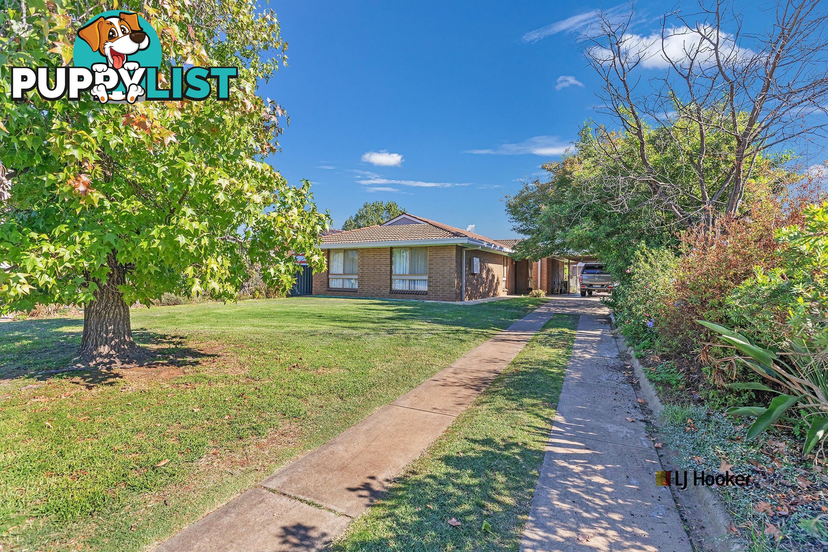 33 Premier Street ECHUCA VIC 3564