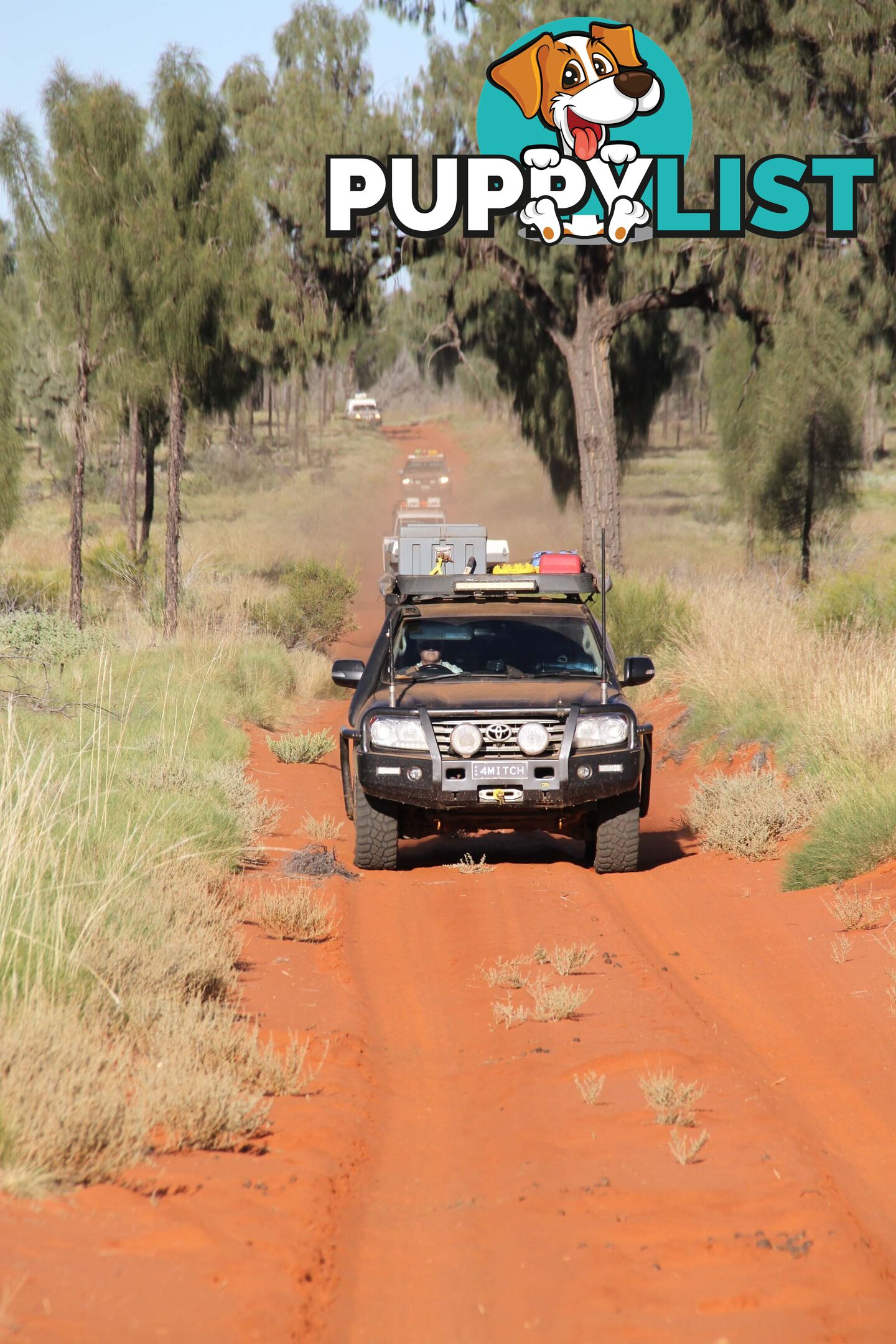 200 series Landcruiser V8