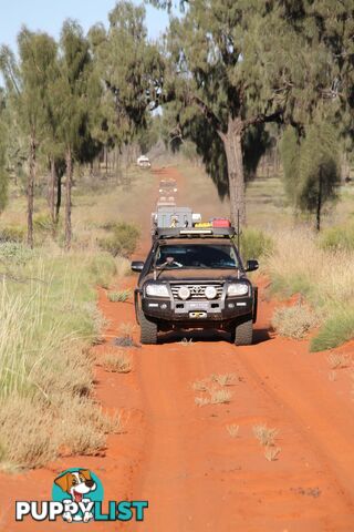 200 series Landcruiser V8