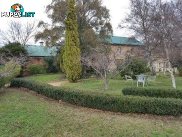 35 Church St Ross TAS 7209