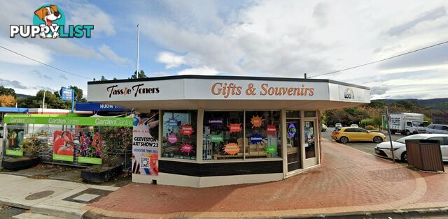 3 Church St Geeveston TAS 7116