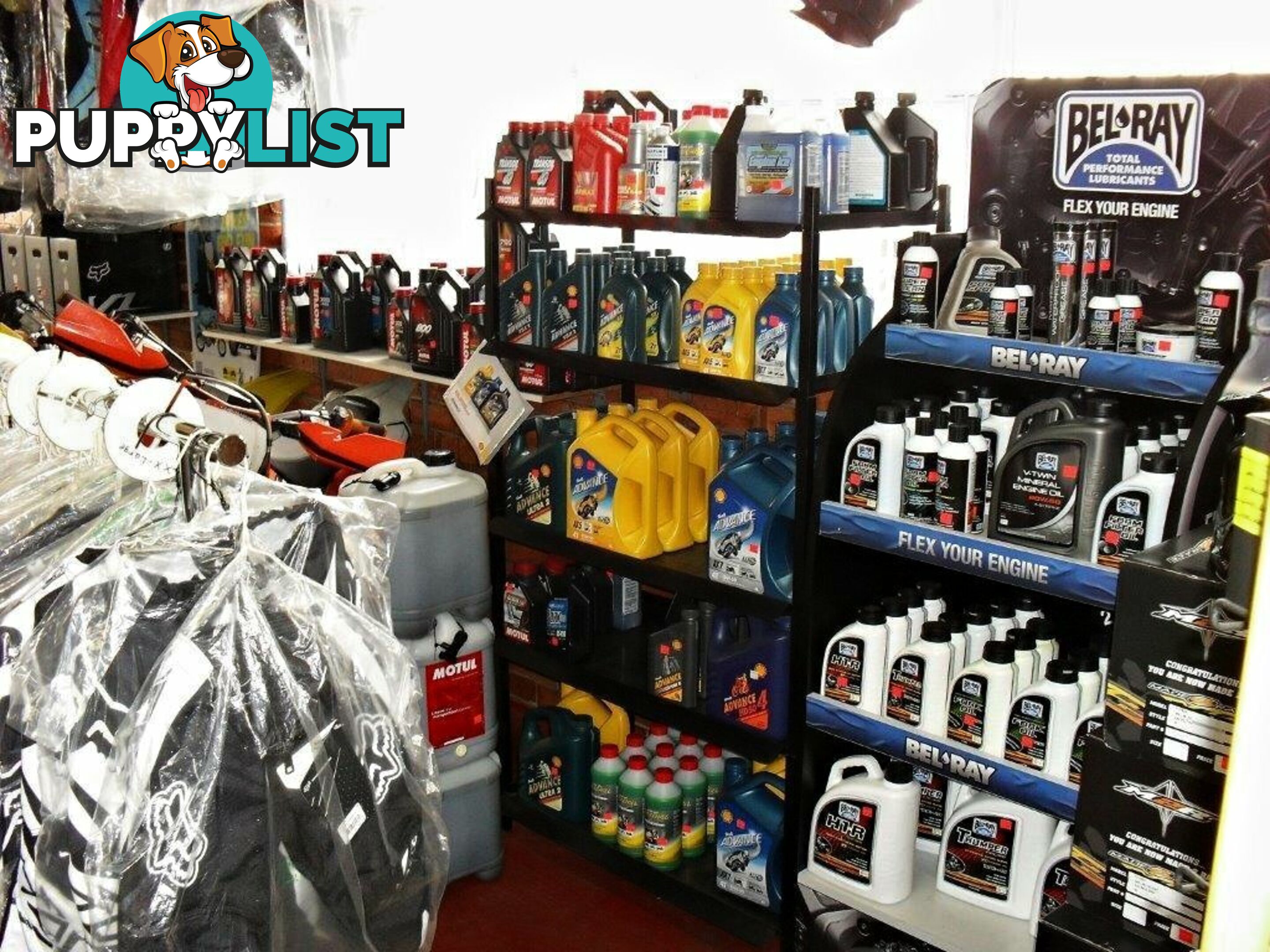 1 Ellenor St Scottsdale TAS 7260
