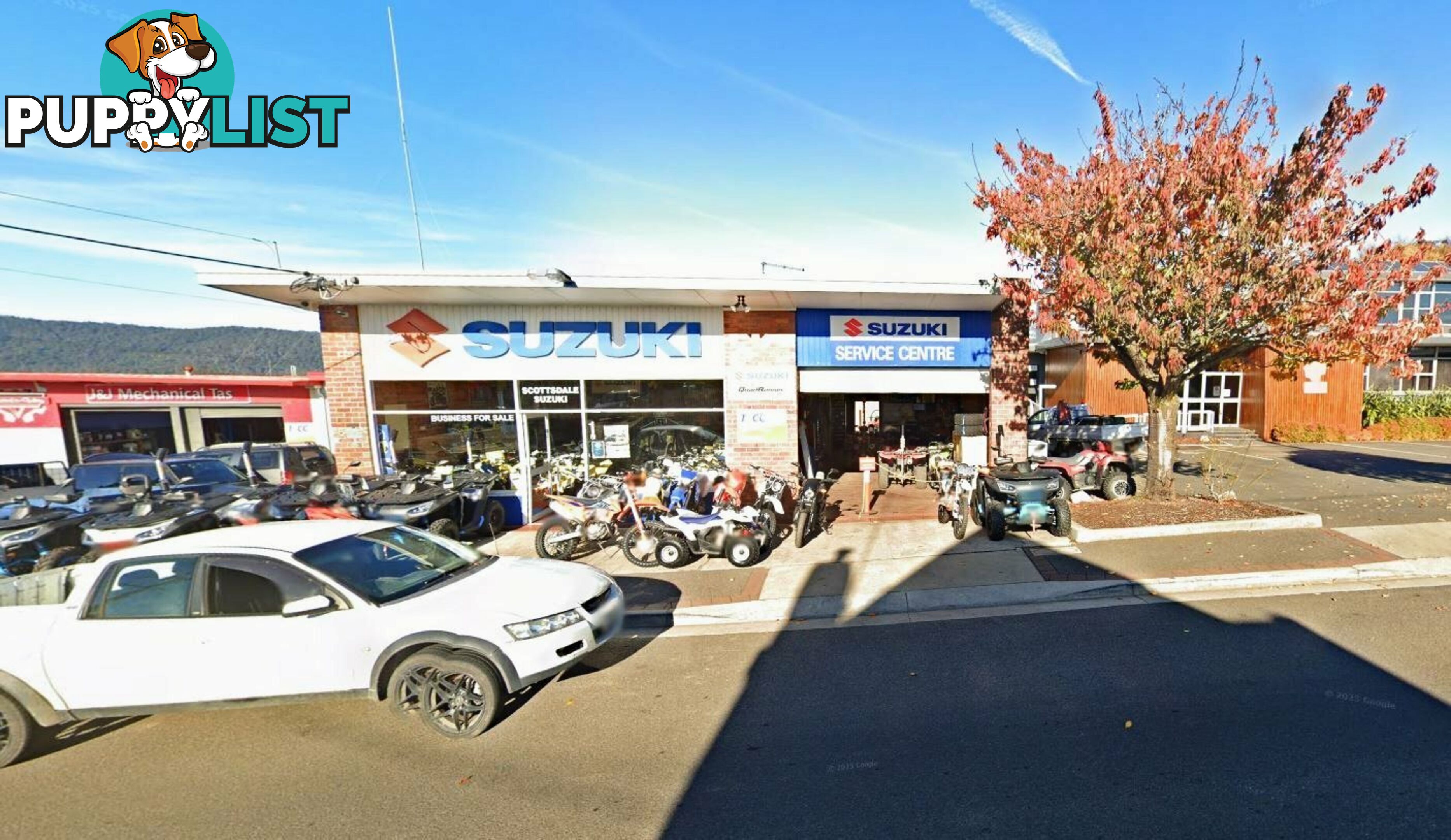 1 Ellenor St Scottsdale TAS 7260