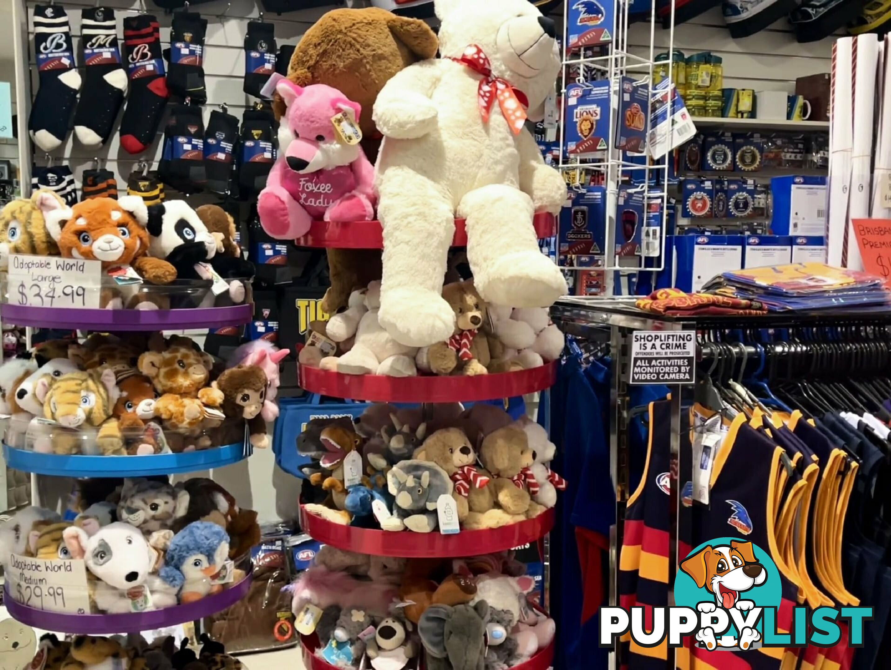 Shop 1A 107 Brisbane Street Launceston TAS 7250