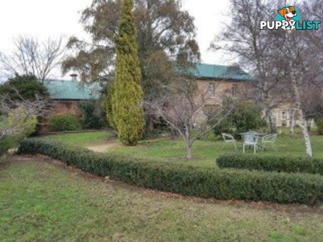 35 Church St Ross TAS 7209