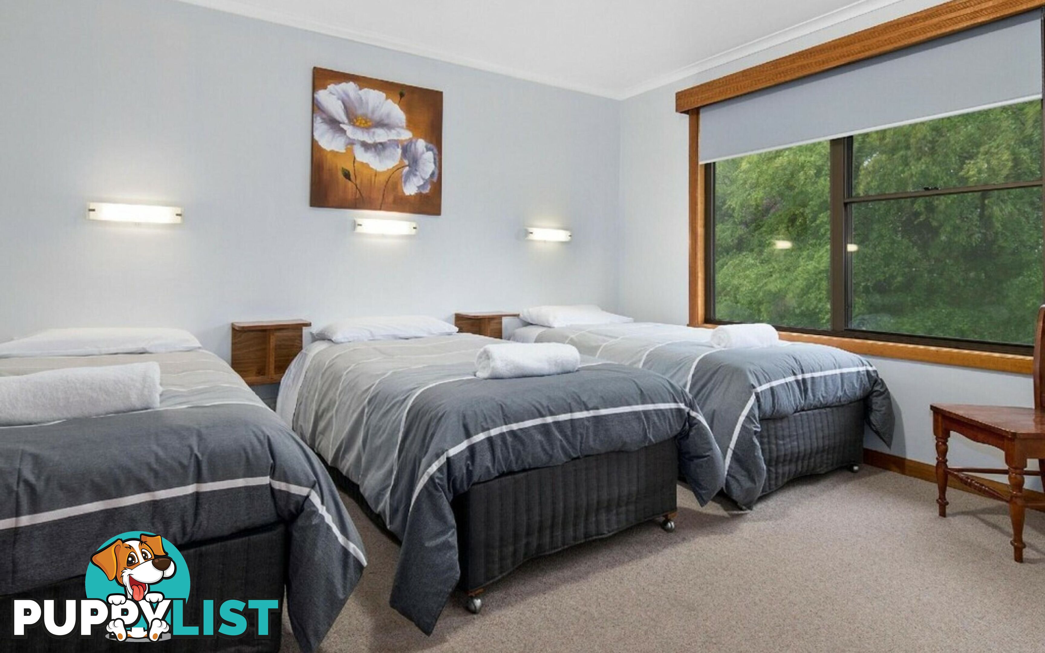 21 Andrew St Strahan TAS 7468