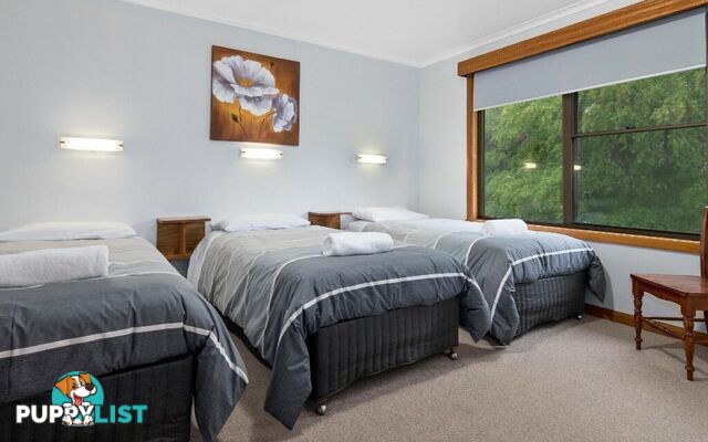 21 Andrew St Strahan TAS 7468