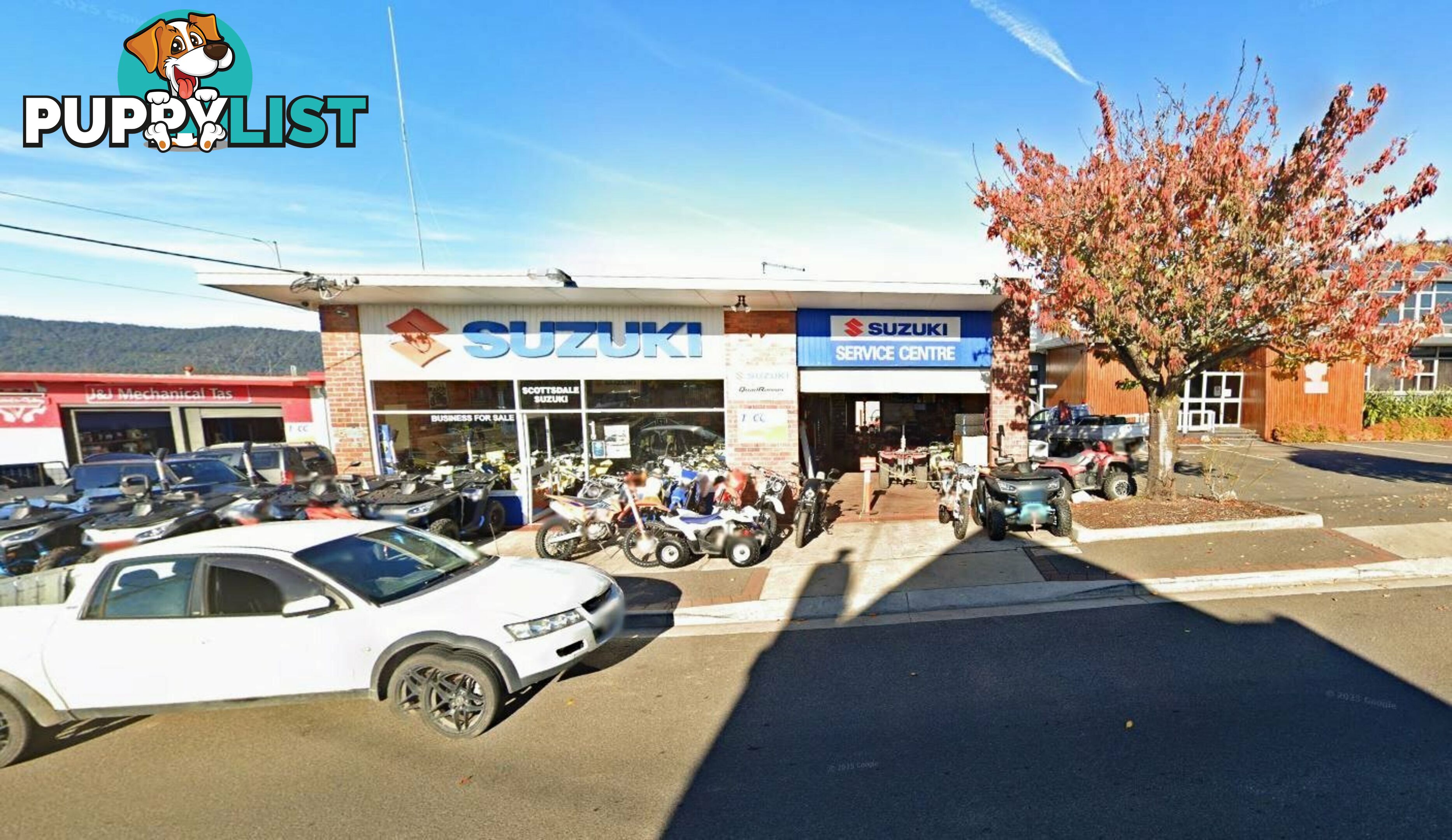 1 Ellenor St Scottsdale TAS 7260