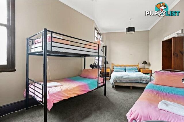 48 Main St St Marys TAS 7215
