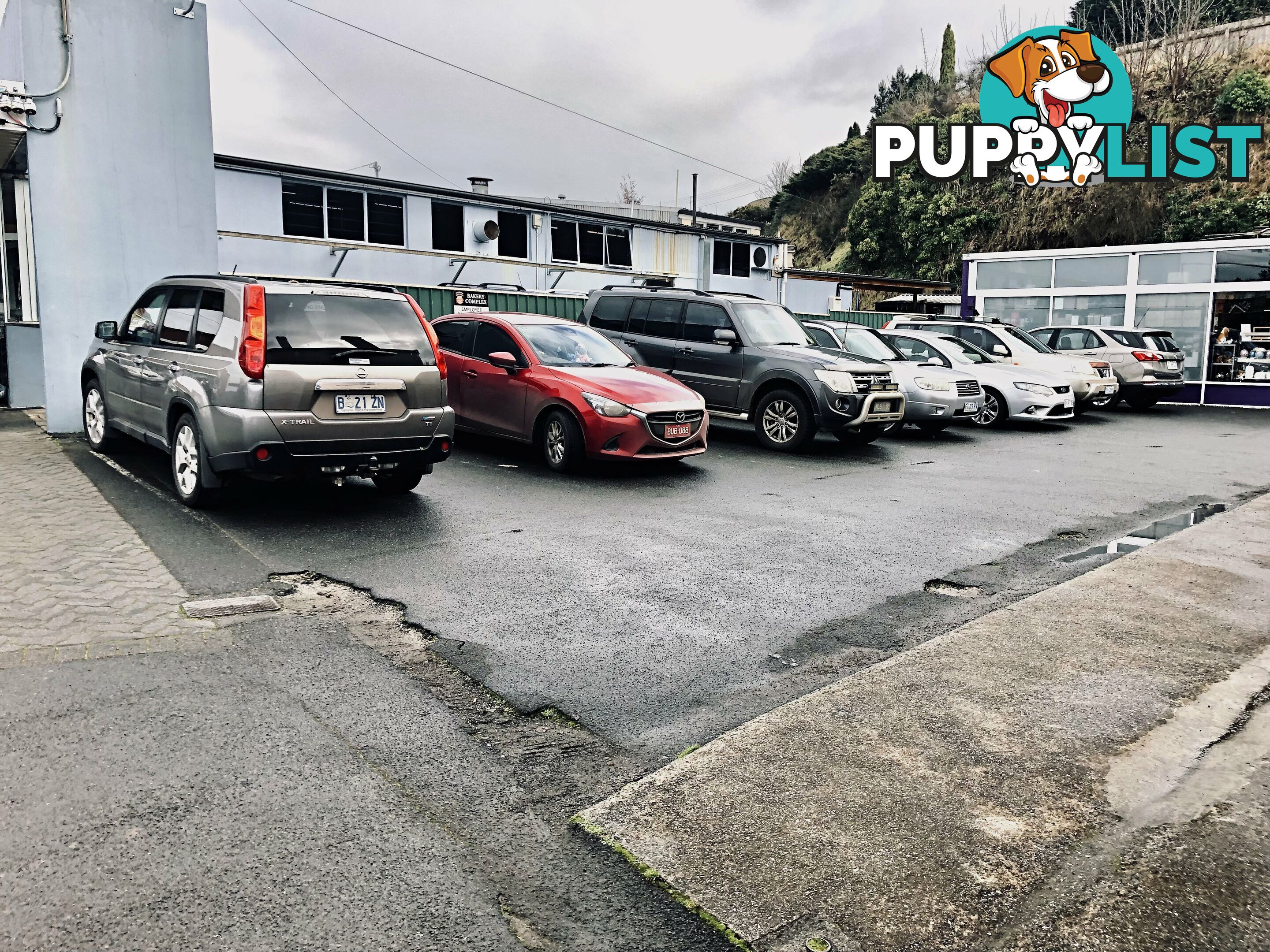 39 Emu Bay Rd Deloraine TAS 7304