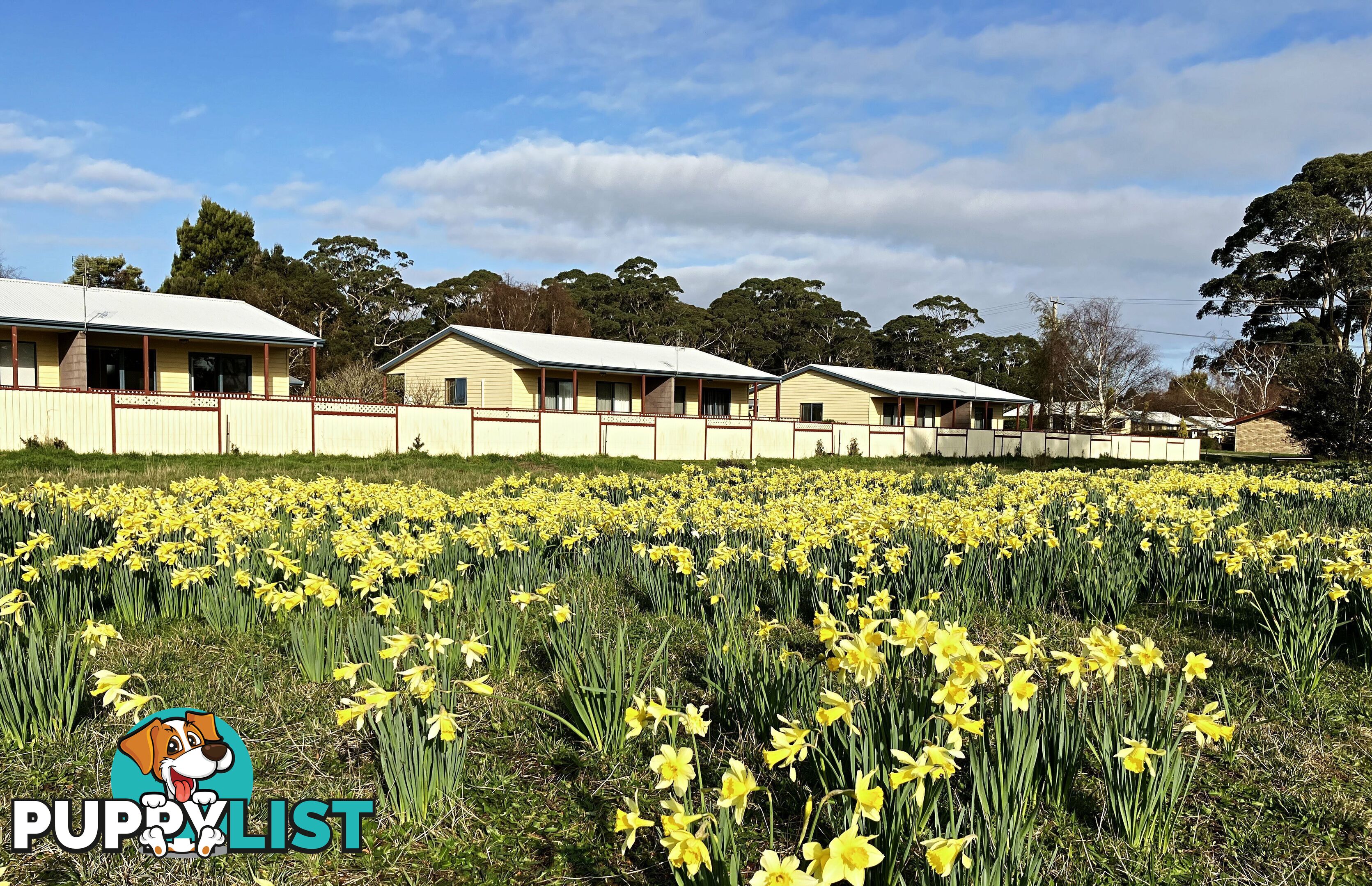 23 Andrew St Strahan TAS 7468