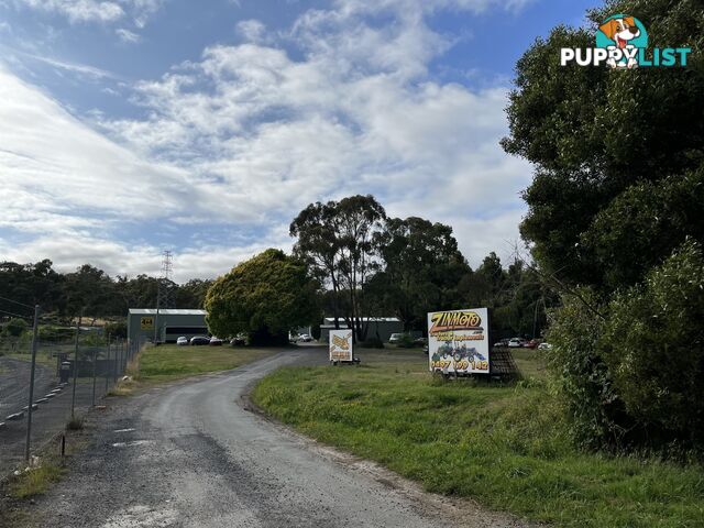 209 Meander Valley Rd Travellers Rest TAS 7250