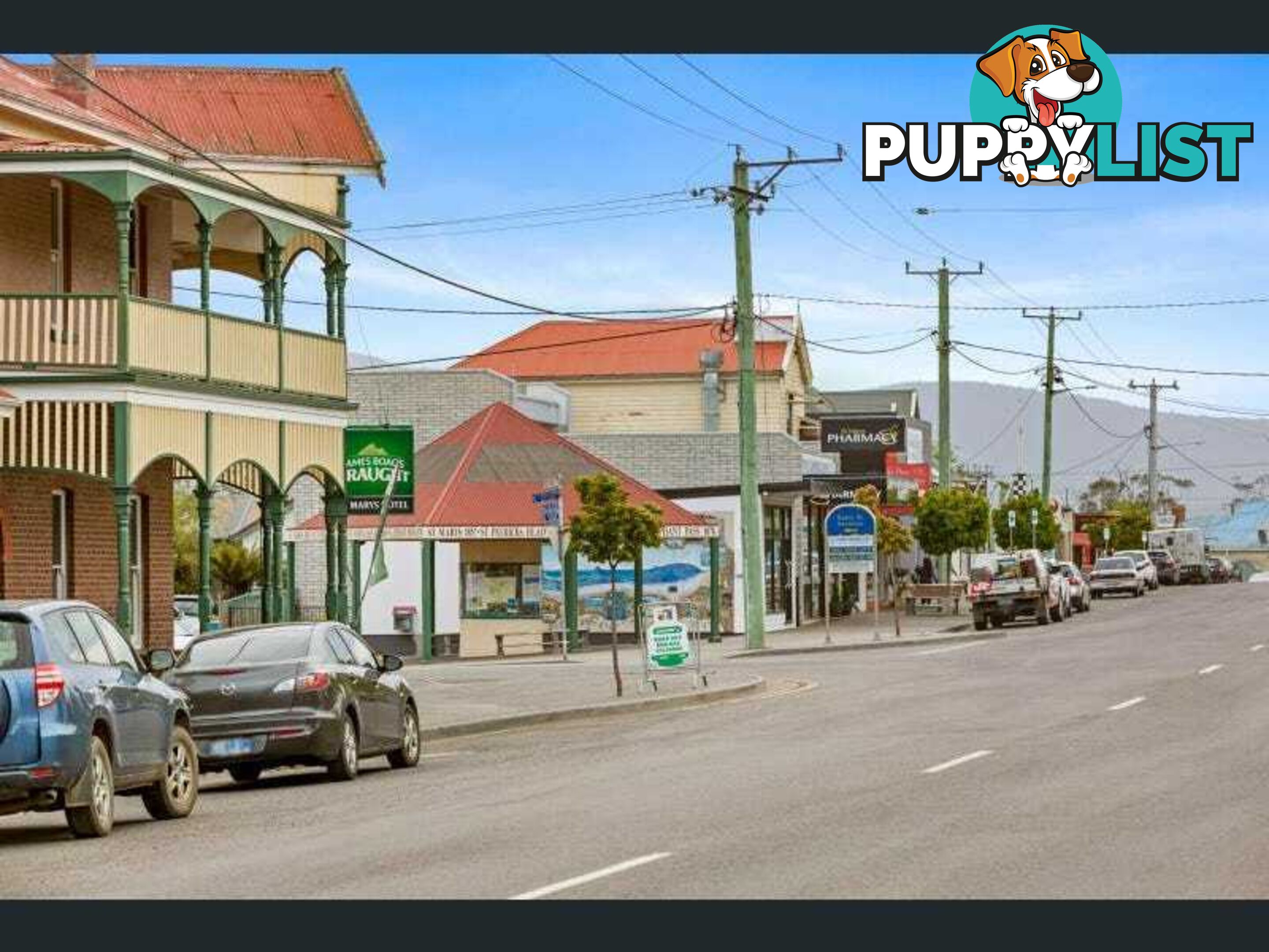 48 Main St St Marys TAS 7215