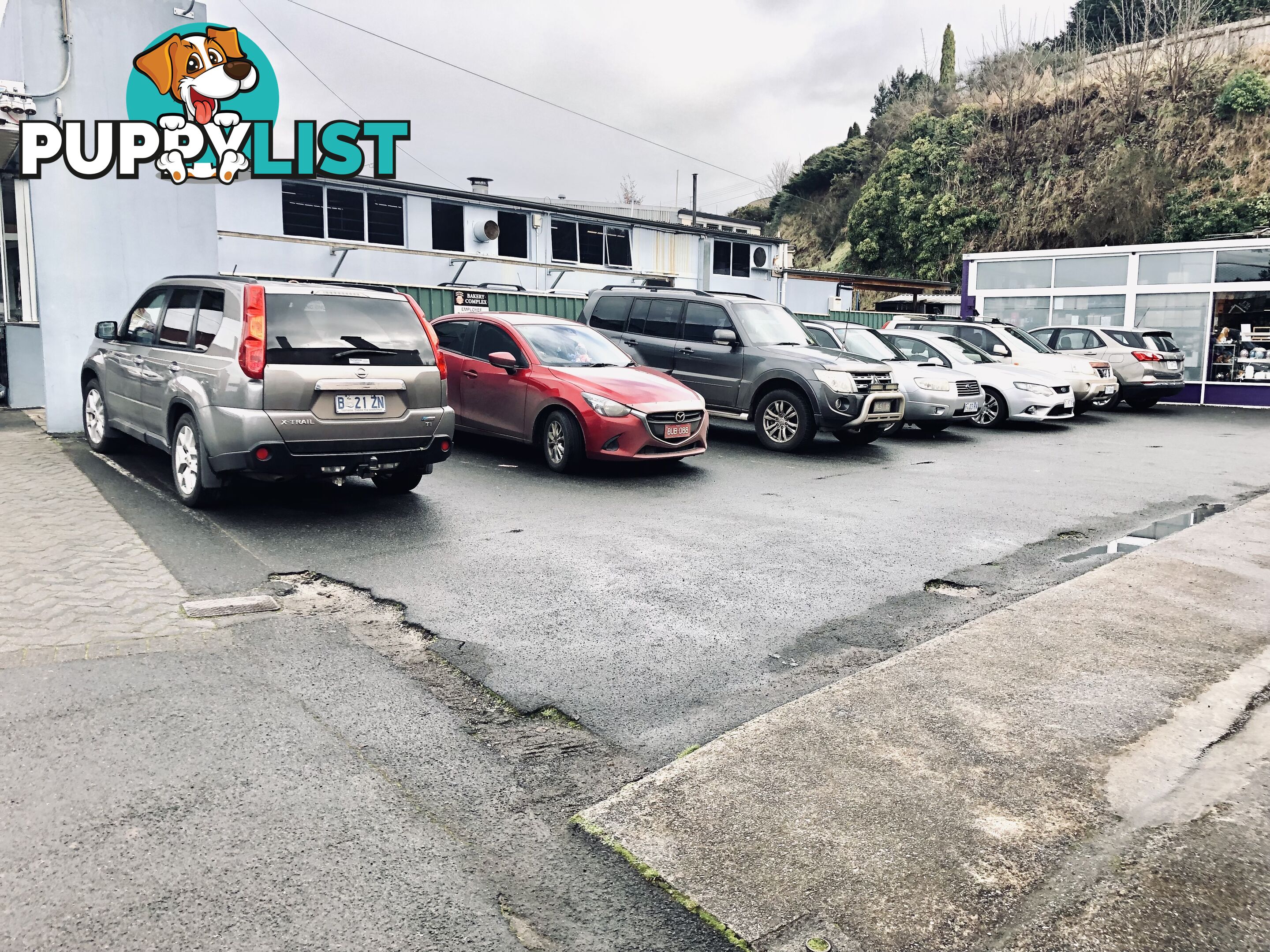 39 Emu Bay Rd Deloraine TAS 7304