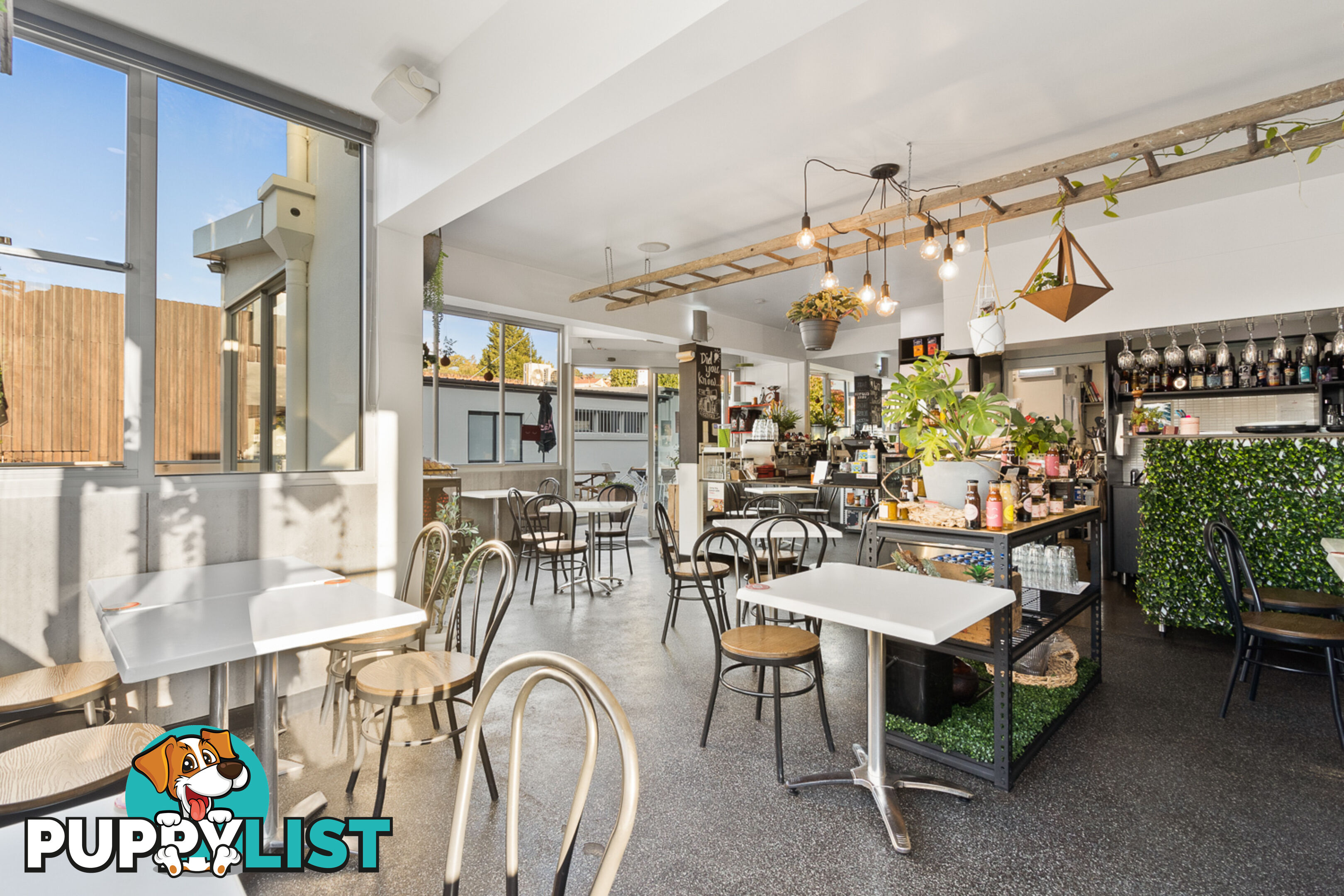 SHOP 1 43 Arthur St East Launceston TAS 7250