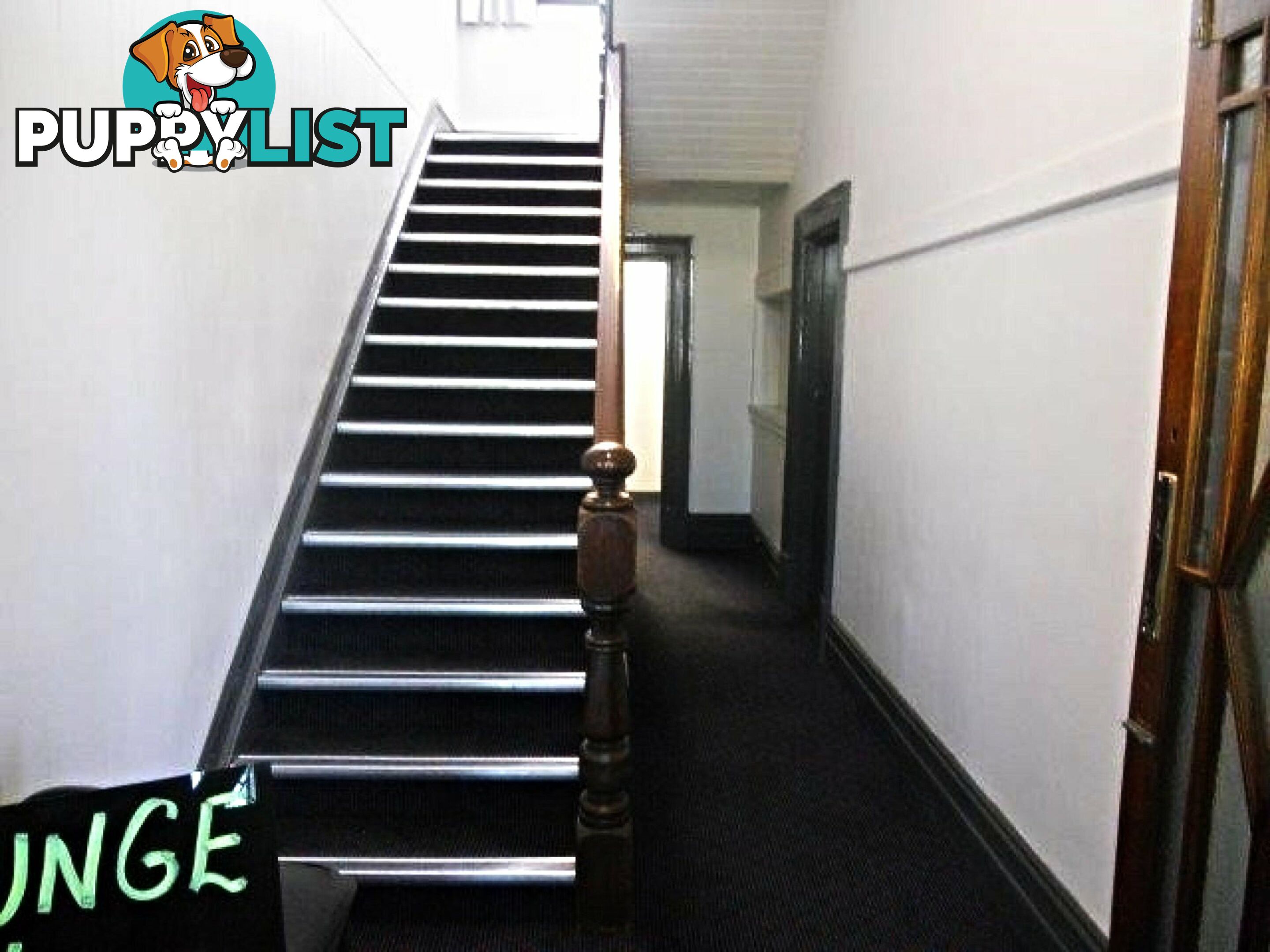 2 King St Scottsdale TAS 7260