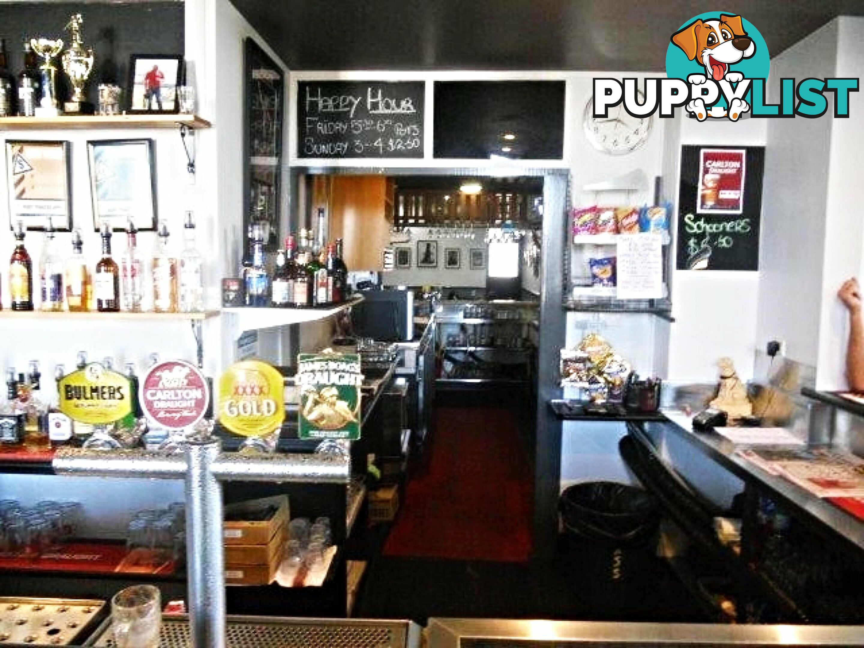 2 King St Scottsdale TAS 7260