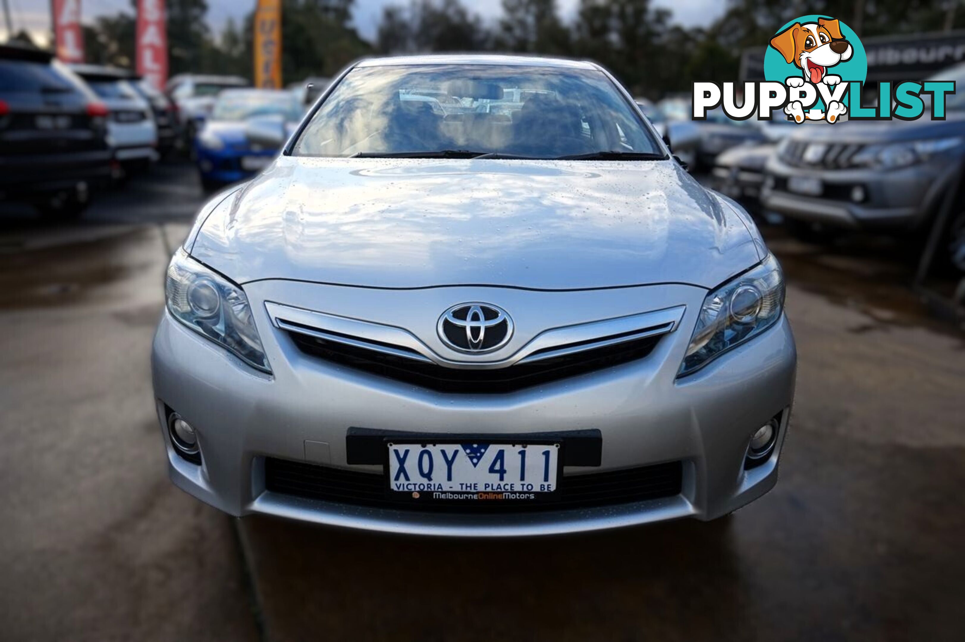 2010 TOYOTA CAMRY   SEDAN