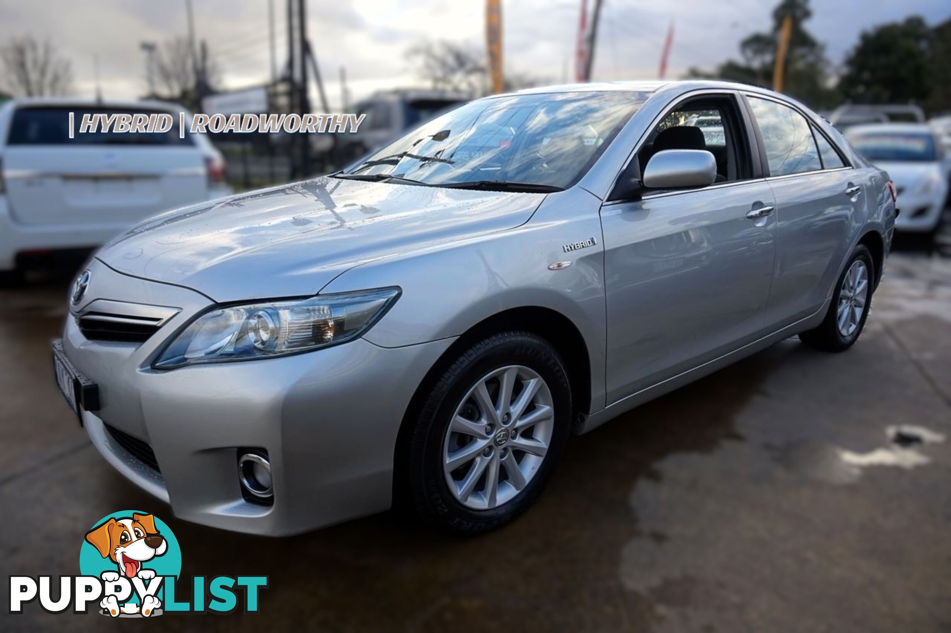 2010 TOYOTA CAMRY   SEDAN