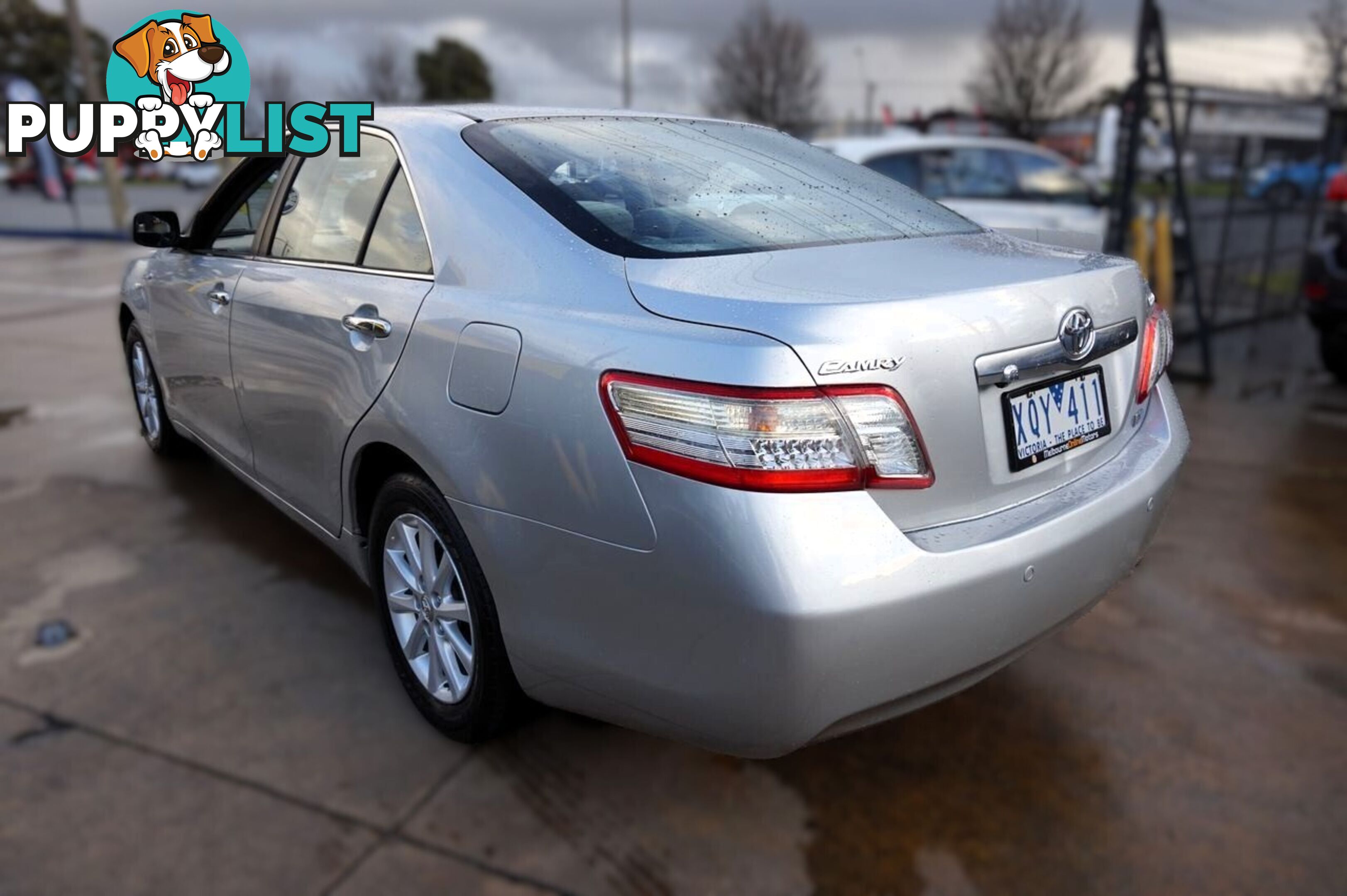 2010 TOYOTA CAMRY   SEDAN