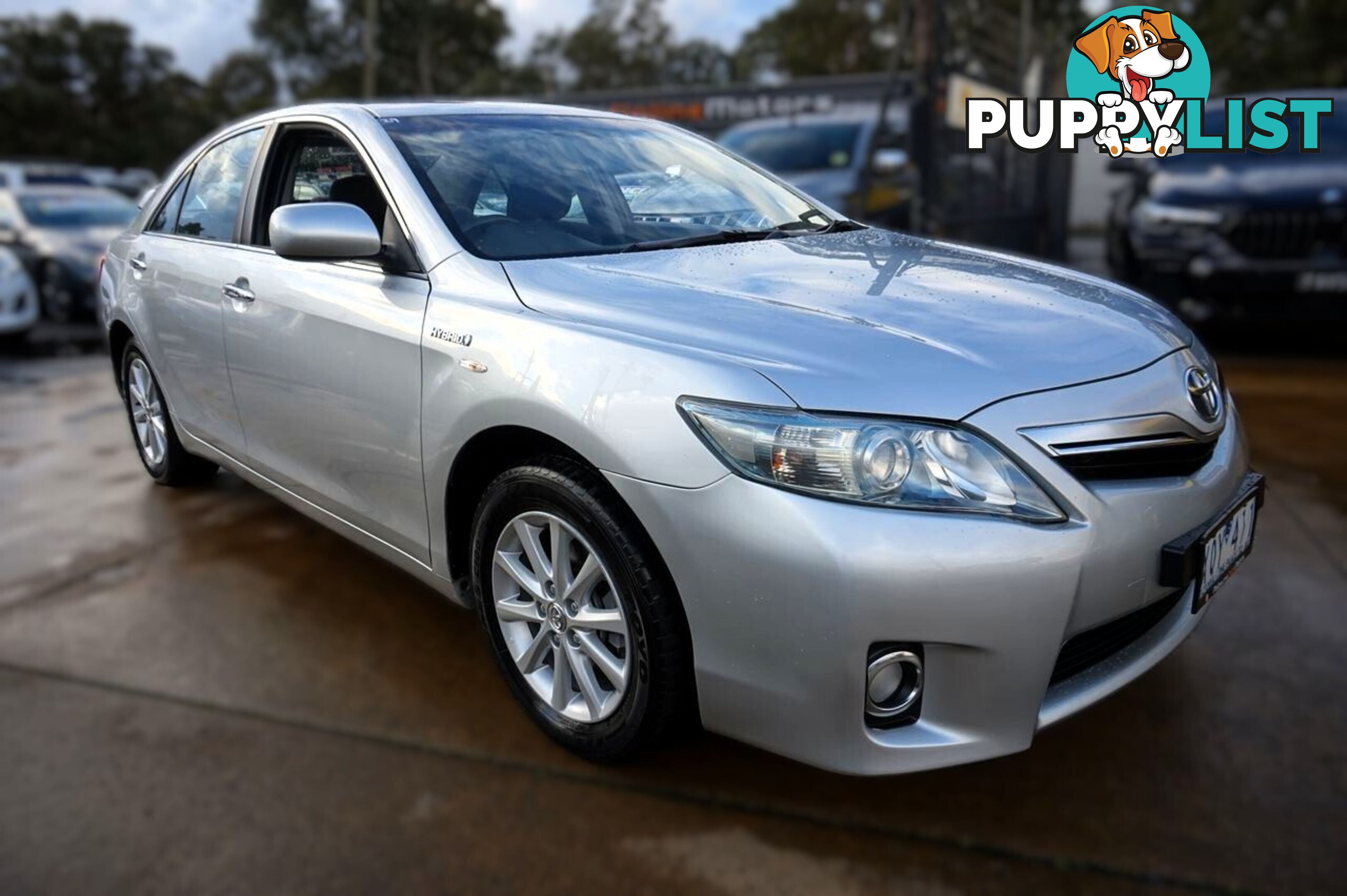 2010 TOYOTA CAMRY   SEDAN